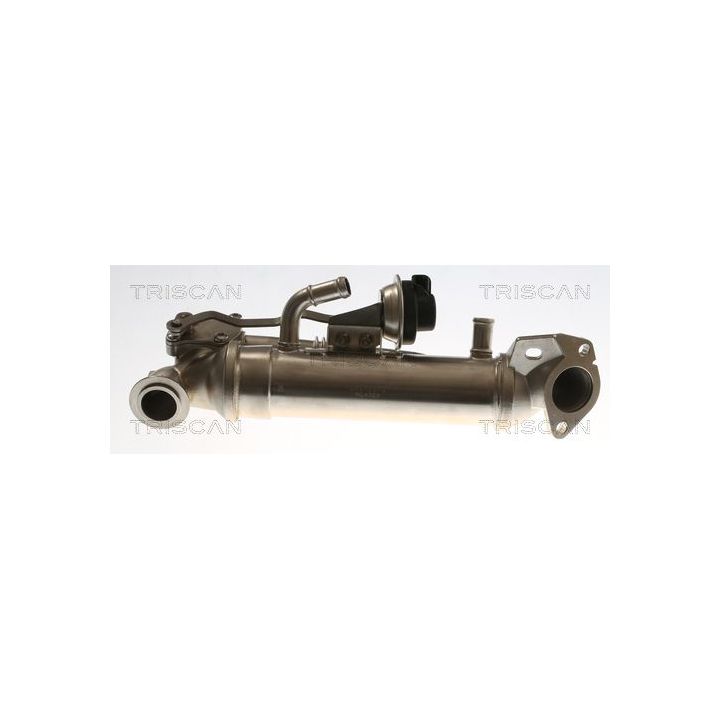 Aušintuvas, išmetamųjų dujų recirkuliacija TRISCAN 8813 16116