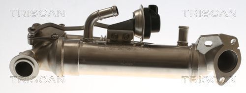 Aušintuvas, išmetamųjų dujų recirkuliacija TRISCAN 8813 16116