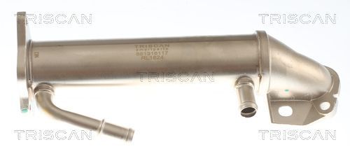 Aušintuvas, išmetamųjų dujų recirkuliacija TRISCAN 8813 16117