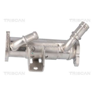 Aušintuvas, išmetamųjų dujų recirkuliacija TRISCAN 8813 17101
