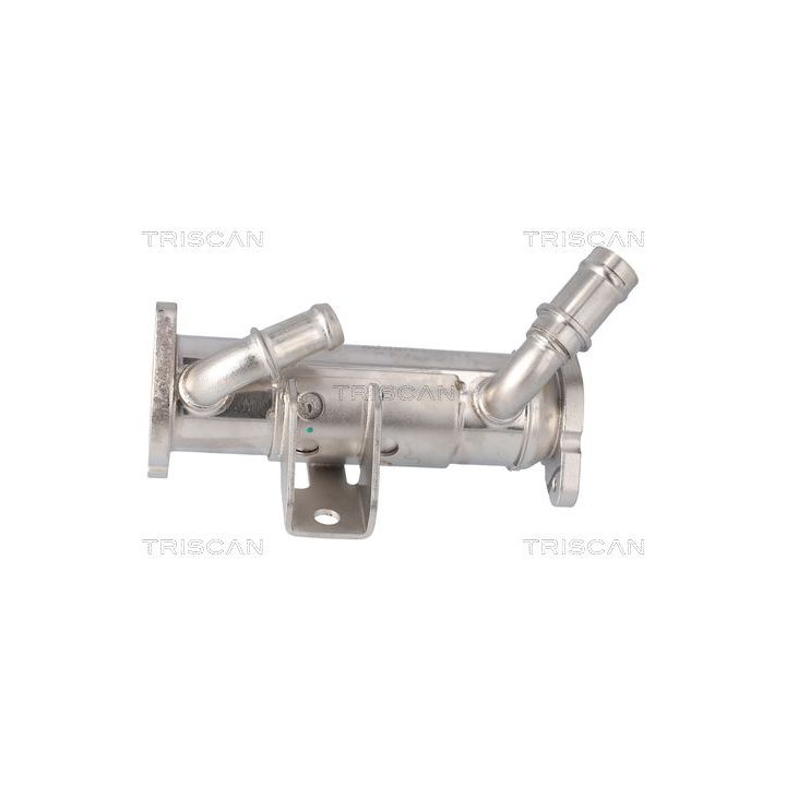 Aušintuvas, išmetamųjų dujų recirkuliacija TRISCAN 8813 17101