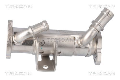 Aušintuvas, išmetamųjų dujų recirkuliacija TRISCAN 8813 17101