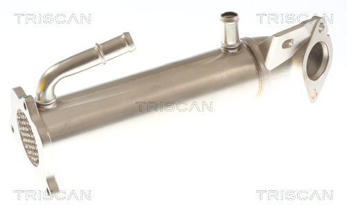 Aušintuvas, išmetamųjų dujų recirkuliacija TRISCAN 8813 16117