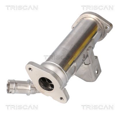 Aušintuvas, išmetamųjų dujų recirkuliacija TRISCAN 8813 17101