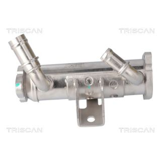 Aušintuvas, išmetamųjų dujų recirkuliacija TRISCAN 8813 17102