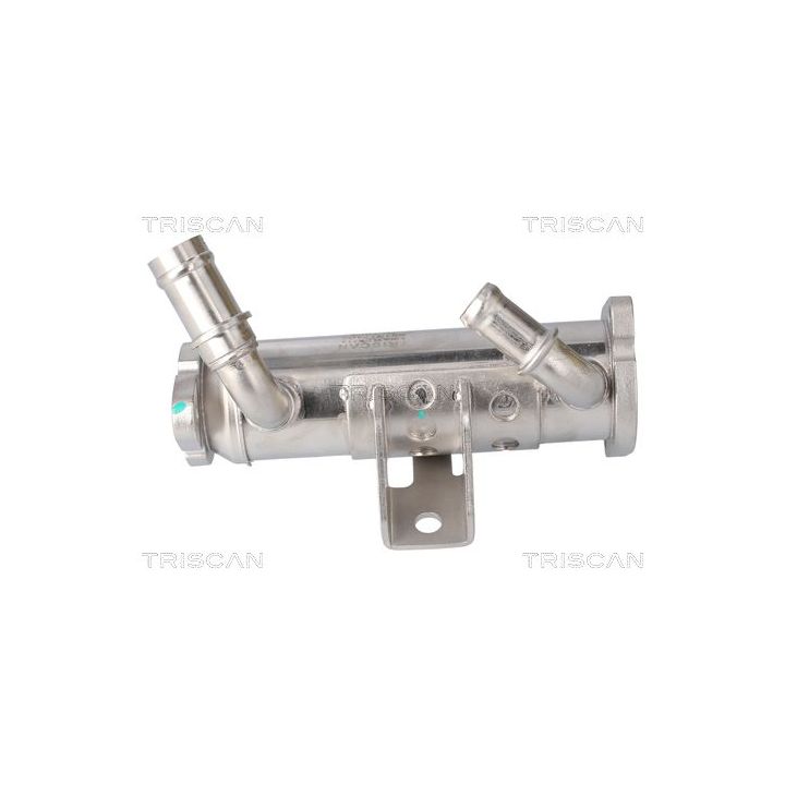 Aušintuvas, išmetamųjų dujų recirkuliacija TRISCAN 8813 17102