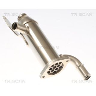 Aušintuvas, išmetamųjų dujų recirkuliacija TRISCAN 8813 17103