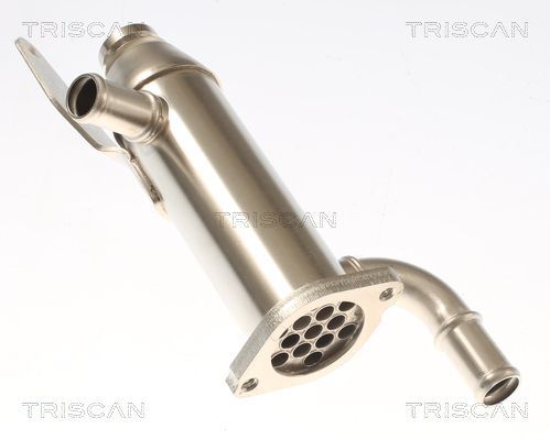 Aušintuvas, išmetamųjų dujų recirkuliacija TRISCAN 8813 17103