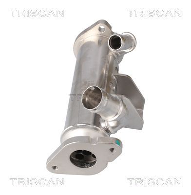 Aušintuvas, išmetamųjų dujų recirkuliacija TRISCAN 8813 17102