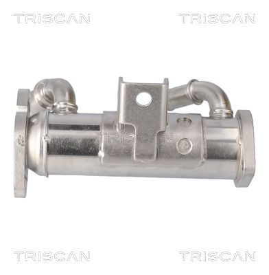 Aušintuvas, išmetamųjų dujų recirkuliacija TRISCAN 8813 17102