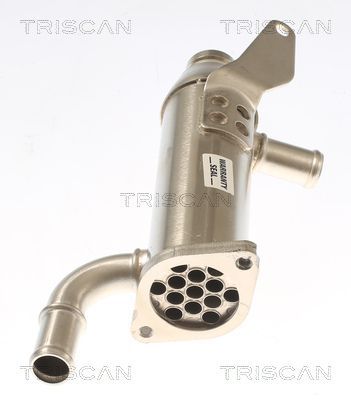 Aušintuvas, išmetamųjų dujų recirkuliacija TRISCAN 8813 17103
