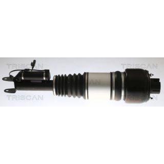 Pneumatinės spyruoklės statramstis TRISCAN 8720 23103