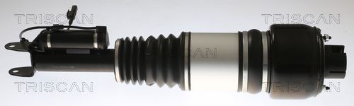 Pneumatinės spyruoklės statramstis TRISCAN 8720 23103