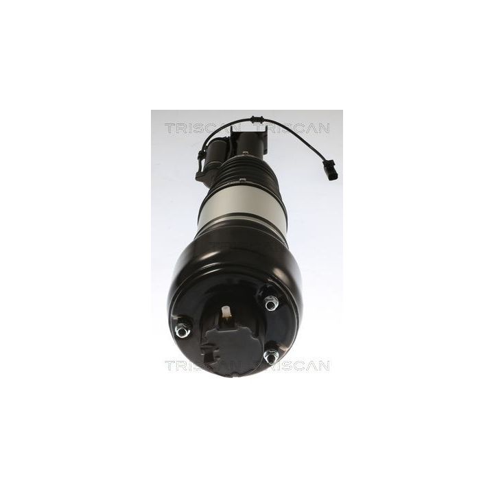 Pneumatinės spyruoklės statramstis TRISCAN 8720 23103