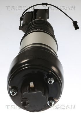 Pneumatinės spyruoklės statramstis TRISCAN 8720 23103