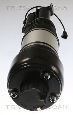 Pneumatinės spyruoklės statramstis TRISCAN 8720 23105