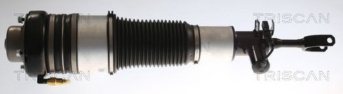 Pneumatinės spyruoklės statramstis TRISCAN 8720 29103