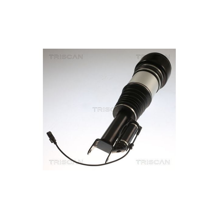 Pneumatinės spyruoklės statramstis TRISCAN 8720 23105