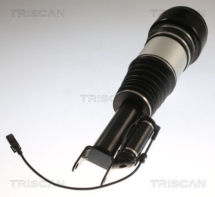 Pneumatinės spyruoklės statramstis TRISCAN 8720 23105