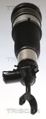 Pneumatinės spyruoklės statramstis TRISCAN 8720 29103