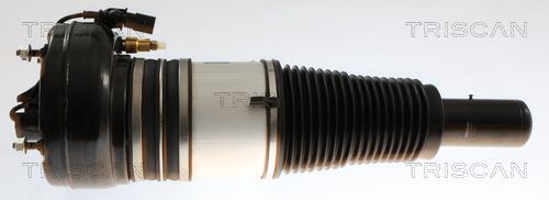 Pneumatinės spyruoklės statramstis TRISCAN 8720 29105