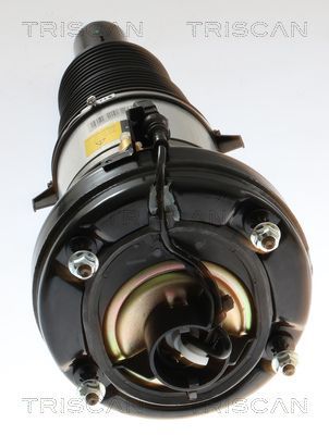 Pneumatinės spyruoklės statramstis TRISCAN 8720 29105