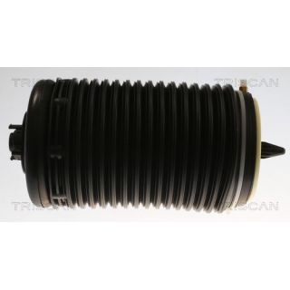 Pneumatinės spyruoklės statramstis TRISCAN 8720 29204