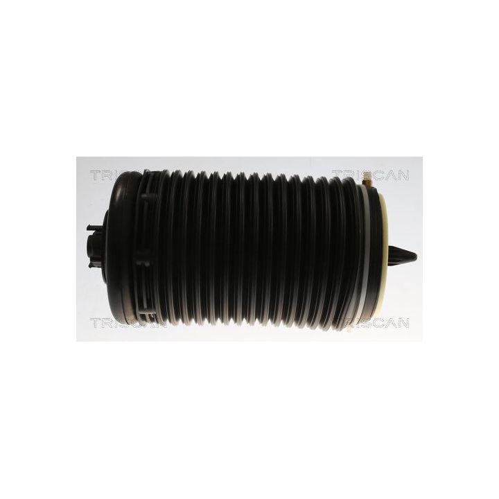 Pneumatinės spyruoklės statramstis TRISCAN 8720 29204