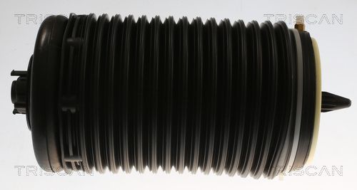 Pneumatinės spyruoklės statramstis TRISCAN 8720 29204