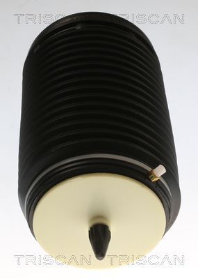 Pneumatinės spyruoklės statramstis TRISCAN 8720 29204