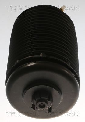 Pneumatinės spyruoklės statramstis TRISCAN 8720 29204