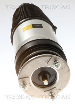 Pneumatinė spyruoklė, pakaba TRISCAN 8720 81102