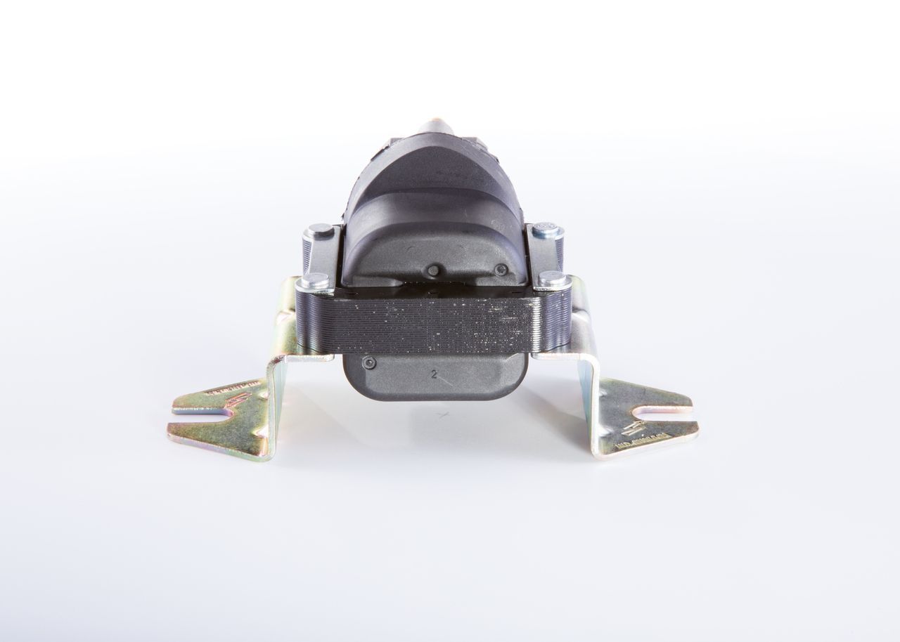 Ritė, uždegimas BOSCH 9 220 081 505