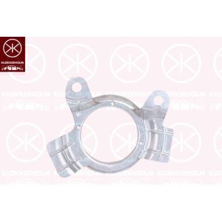 Apsauginis skydas, stabdžių diskas KLOKKERHOLM 3120378