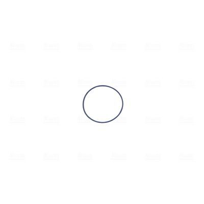 Droselio korpusas NISSENS 955126