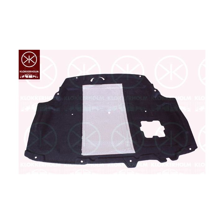 Variklio dangtis KLOKKERHOLM 2566795