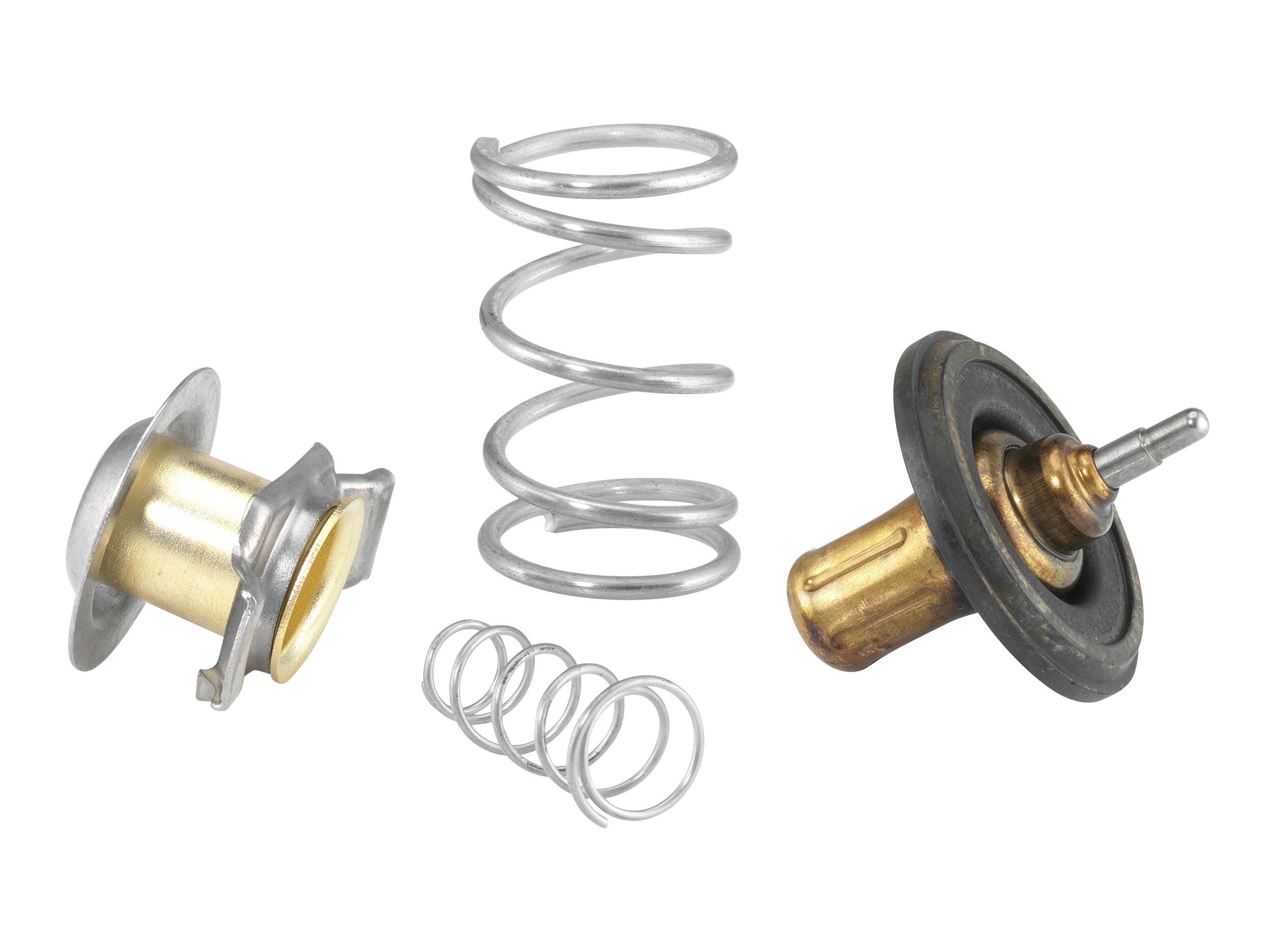 Termostatas, aušinimo skystis BorgWarner (Wahler) 135017.88D0