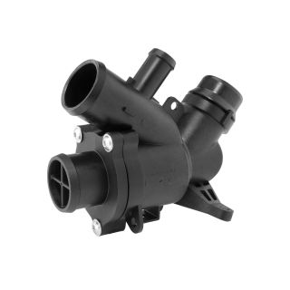 Termostatas, aušinimo skystis BorgWarner (Wahler) 412500.95D0