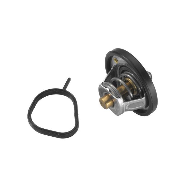 Termostatas, aušinimo skystis BorgWarner (Wahler) 4457.82D