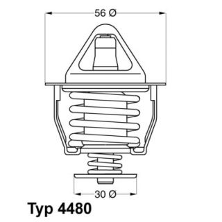 Termostatas, aušinimo skystis BorgWarner (Wahler) 4480.82D