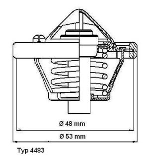 Termostatas, aušinimo skystis BorgWarner (Wahler) 4483.82D