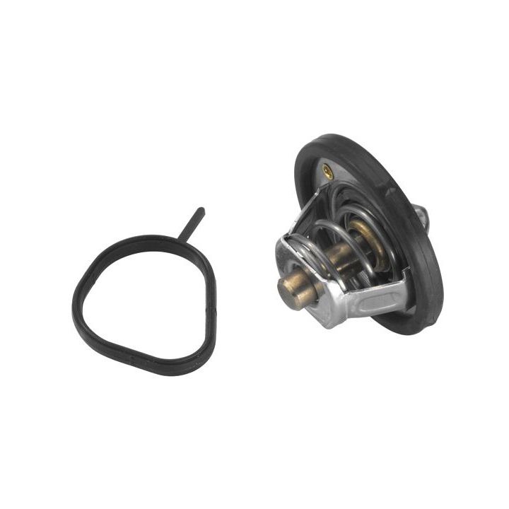 Termostatas, aušinimo skystis BorgWarner (Wahler) 4483.82D