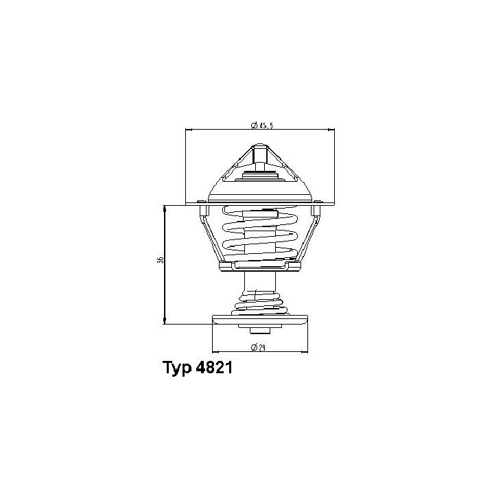 Termostatas, aušinimo skystis BorgWarner (Wahler) 4821.89D