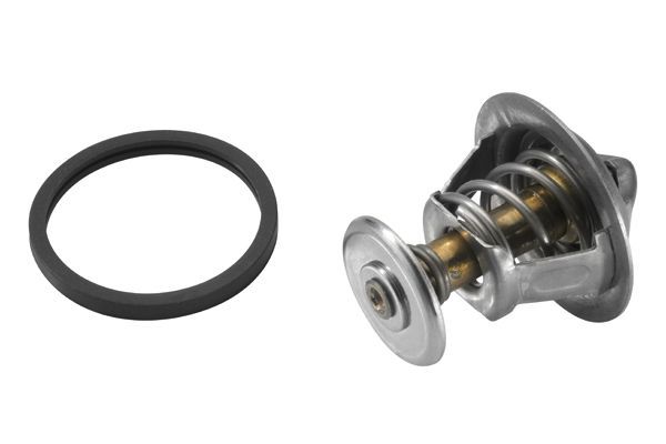 Termostatas, aušinimo skystis BorgWarner (Wahler) 4821.89D