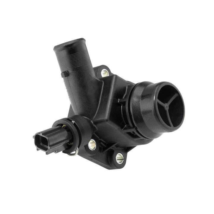 Termostatas, aušinimo skystis BorgWarner (Wahler) 4831.90D