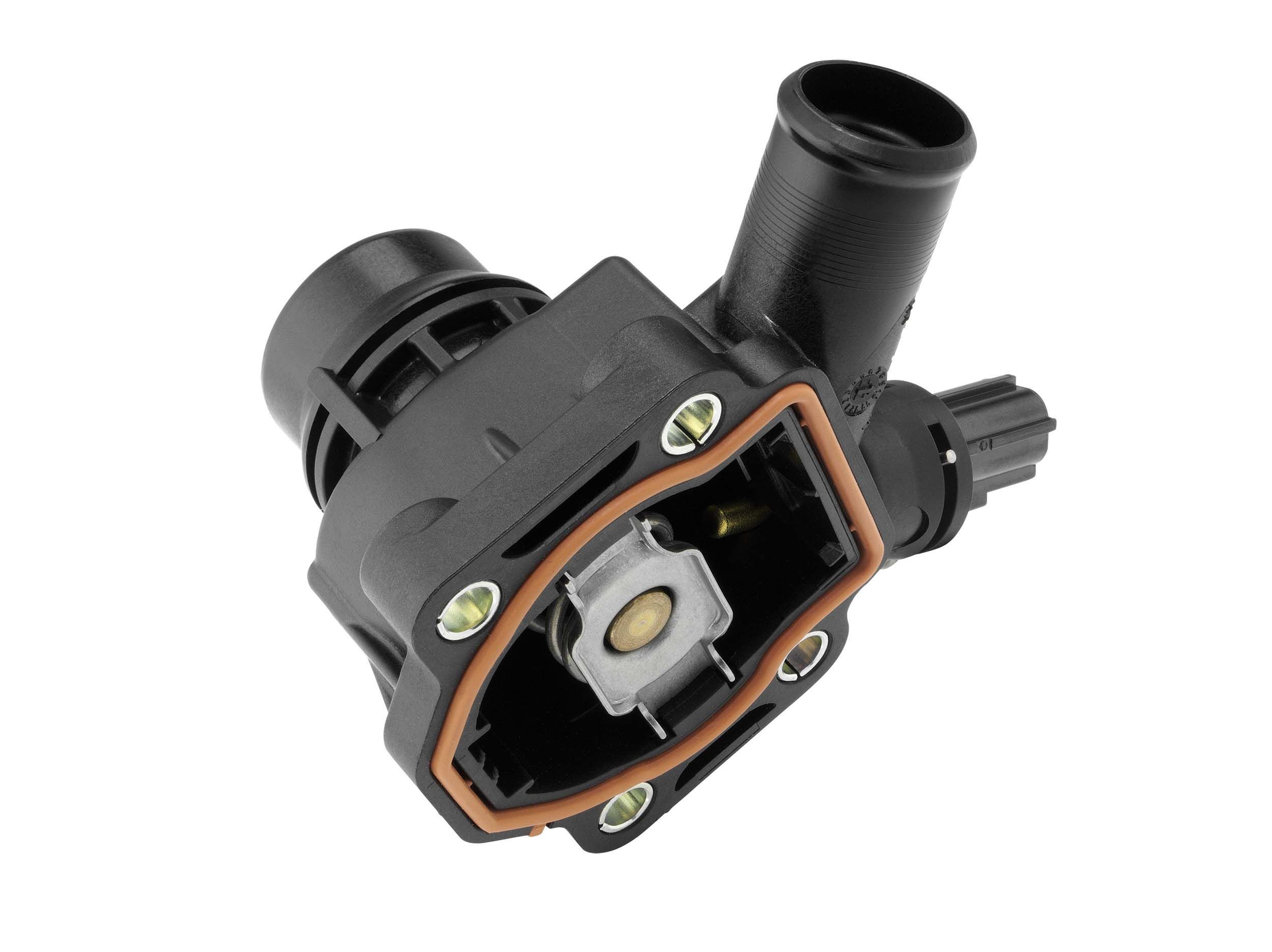 Termostatas, aušinimo skystis BorgWarner (Wahler) 4831.90D