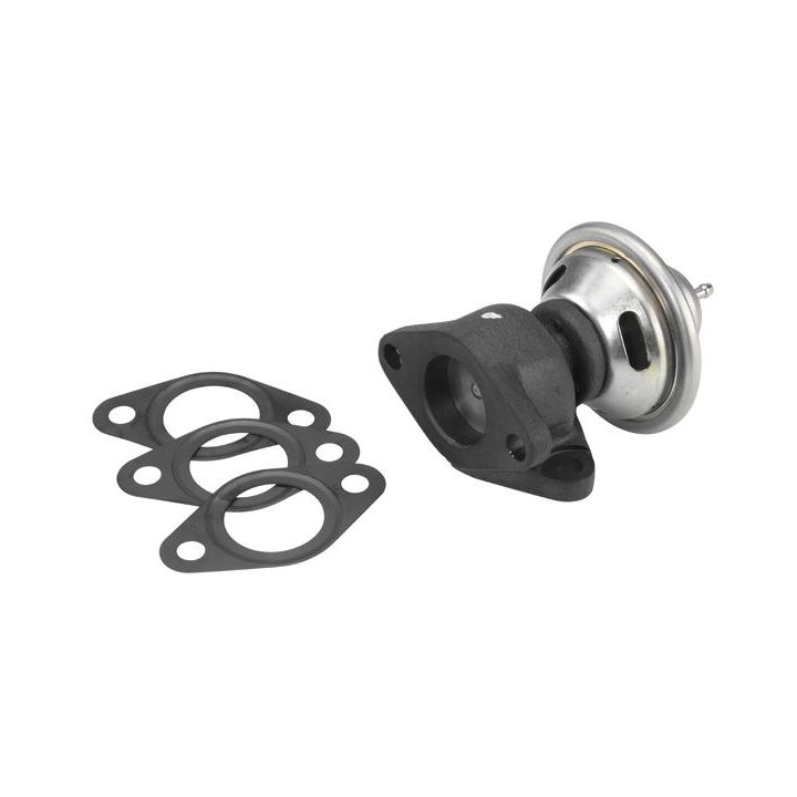 ERG vožtuvas BorgWarner (Wahler) 7350D