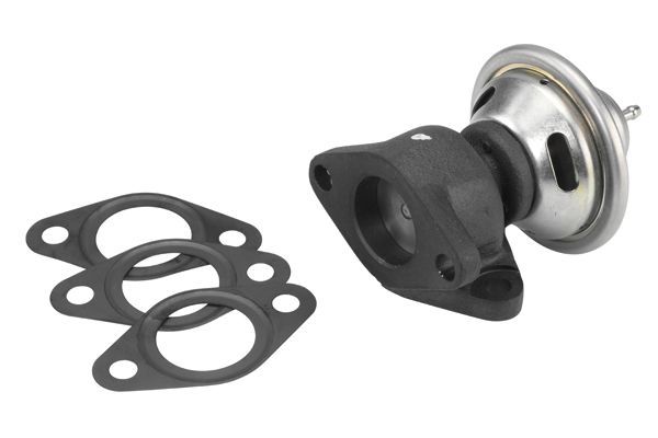 ERG vožtuvas BorgWarner (Wahler) 7350D