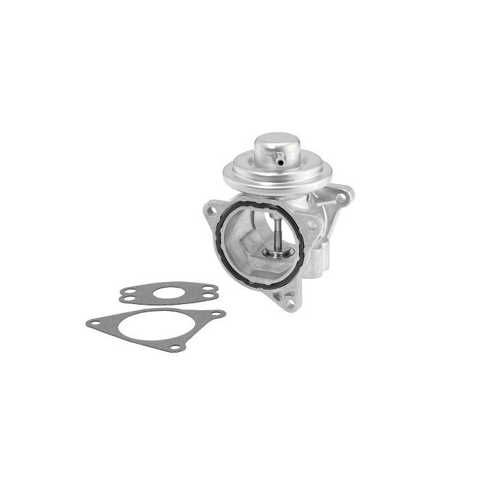 ERG vožtuvas BorgWarner (Wahler) 7496D