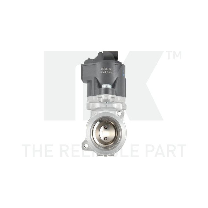 ERG vožtuvas NK 4533012